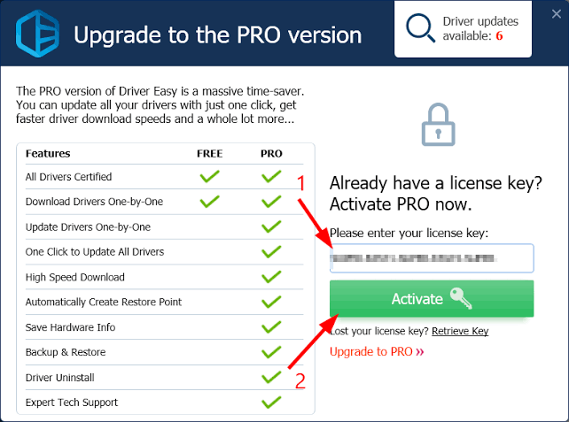 Driver Easy Pro Crack With License Key Free Download 