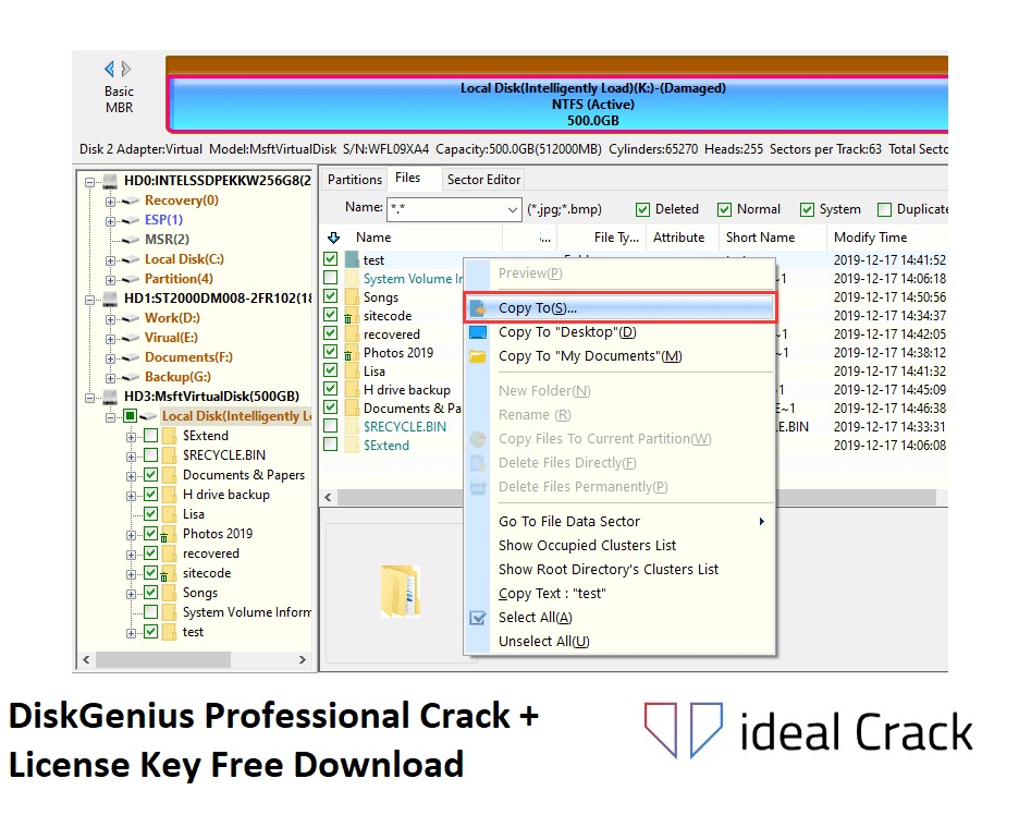 DiskGenius Professional Crack Download